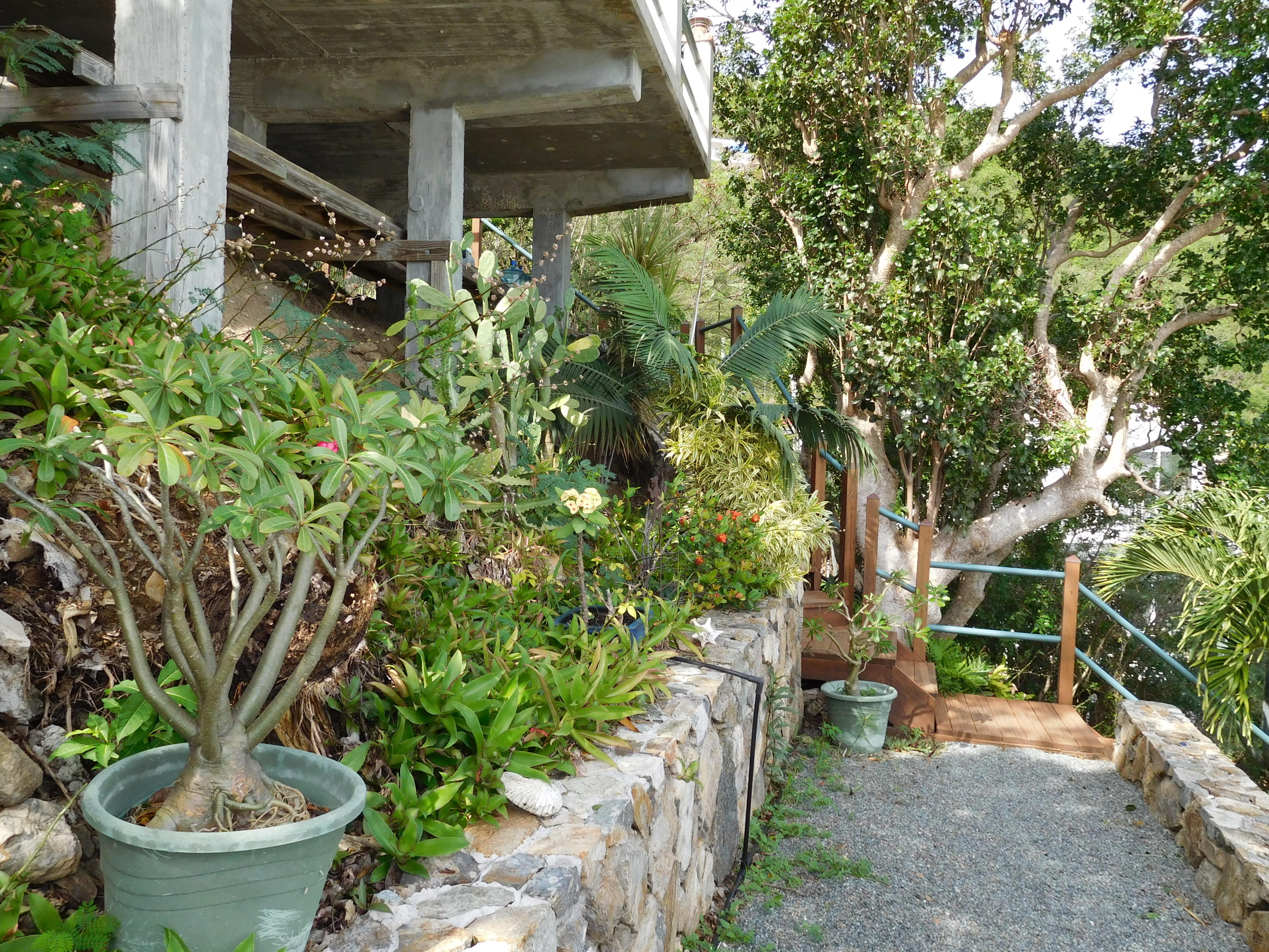 Image 37