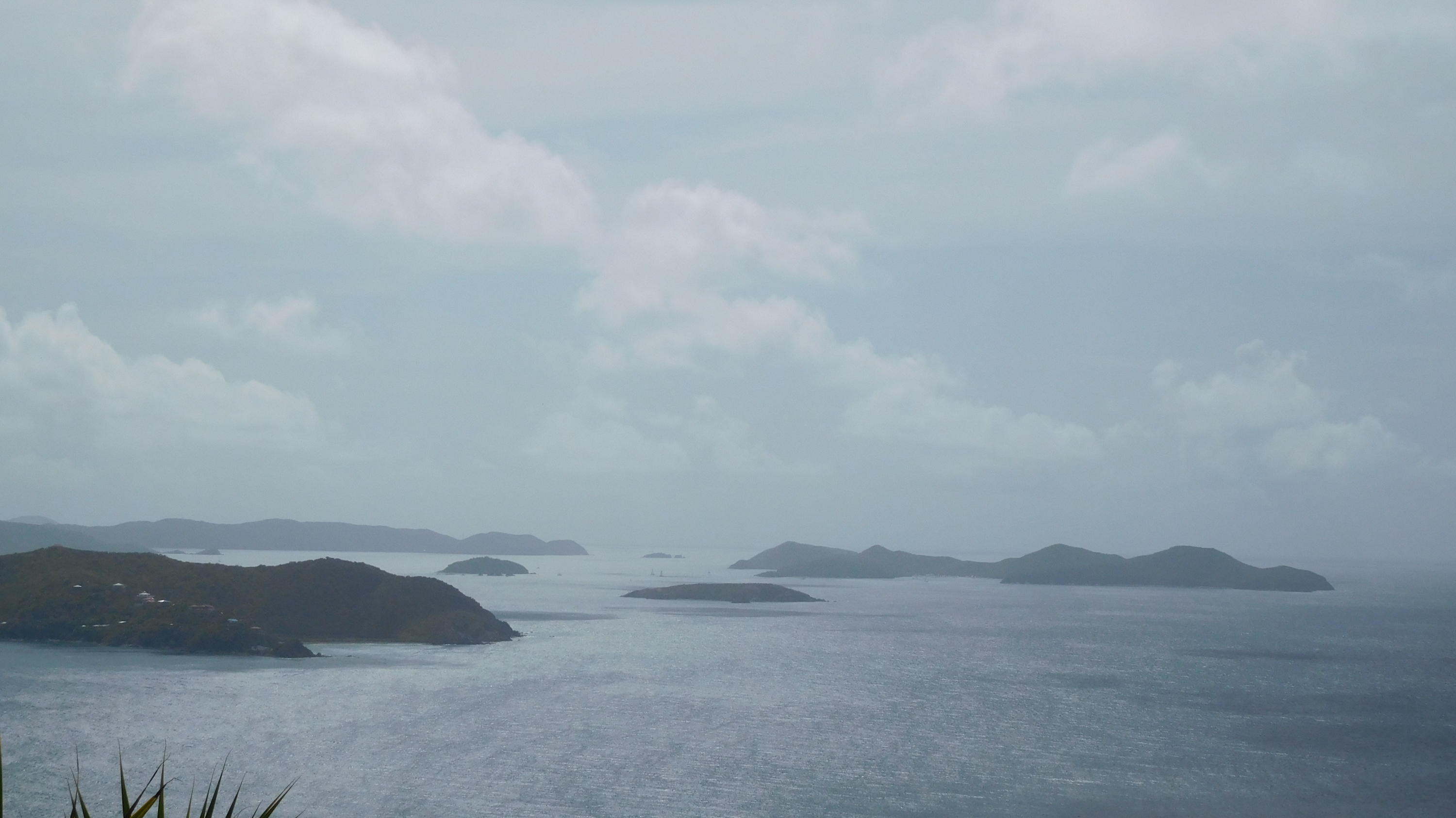 Image 6
