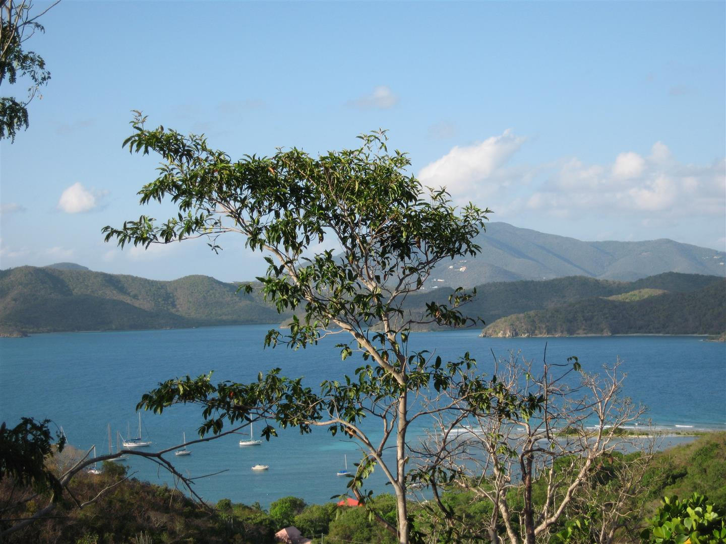 Image 5