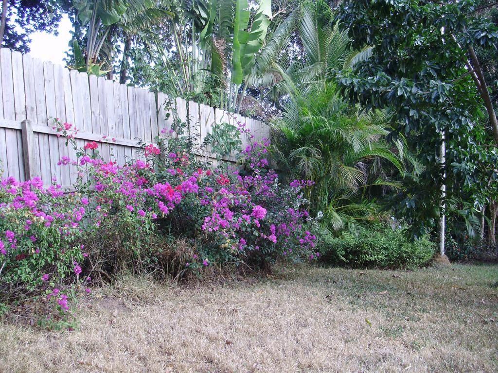 Image 20