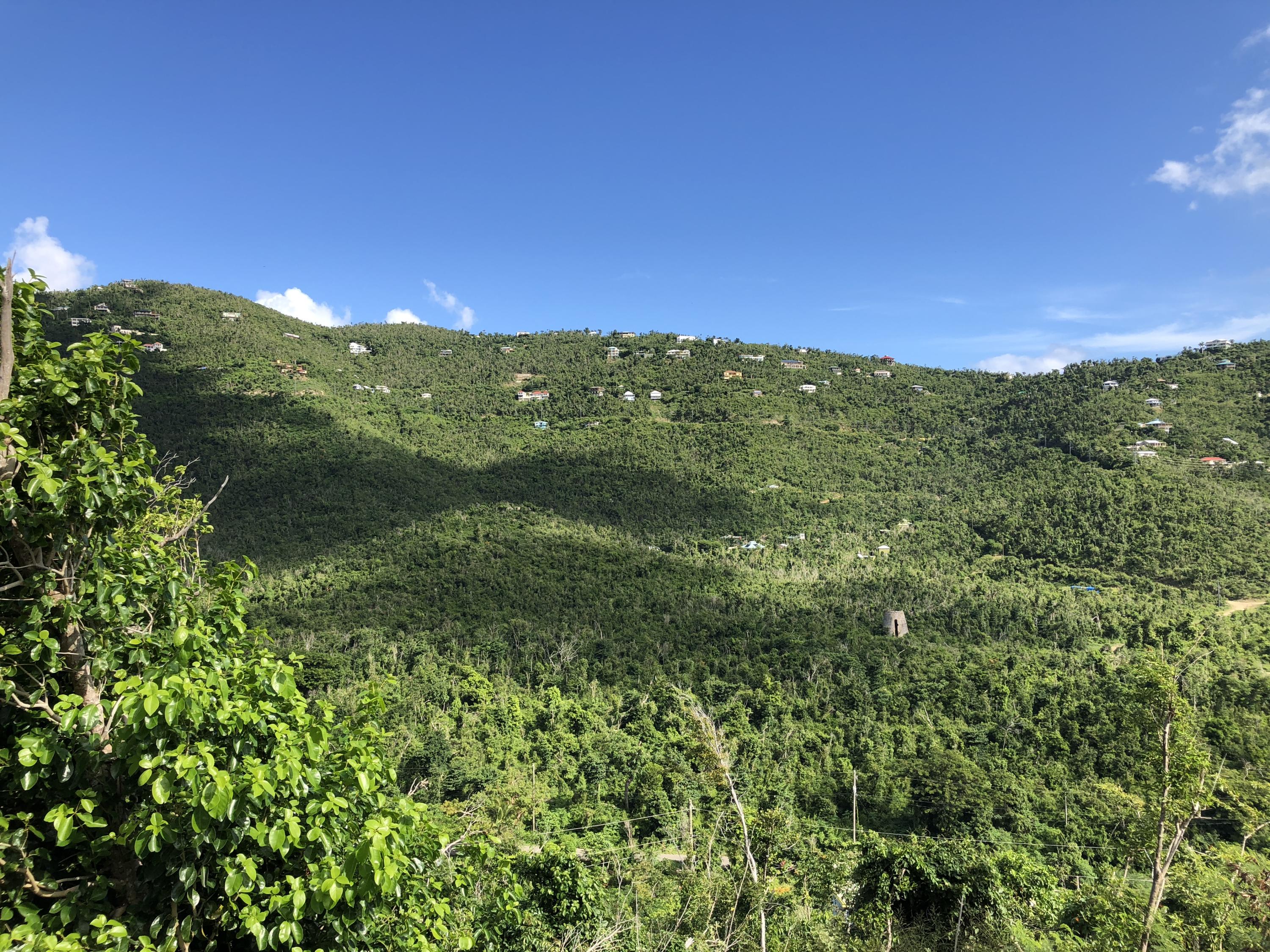 Image 23