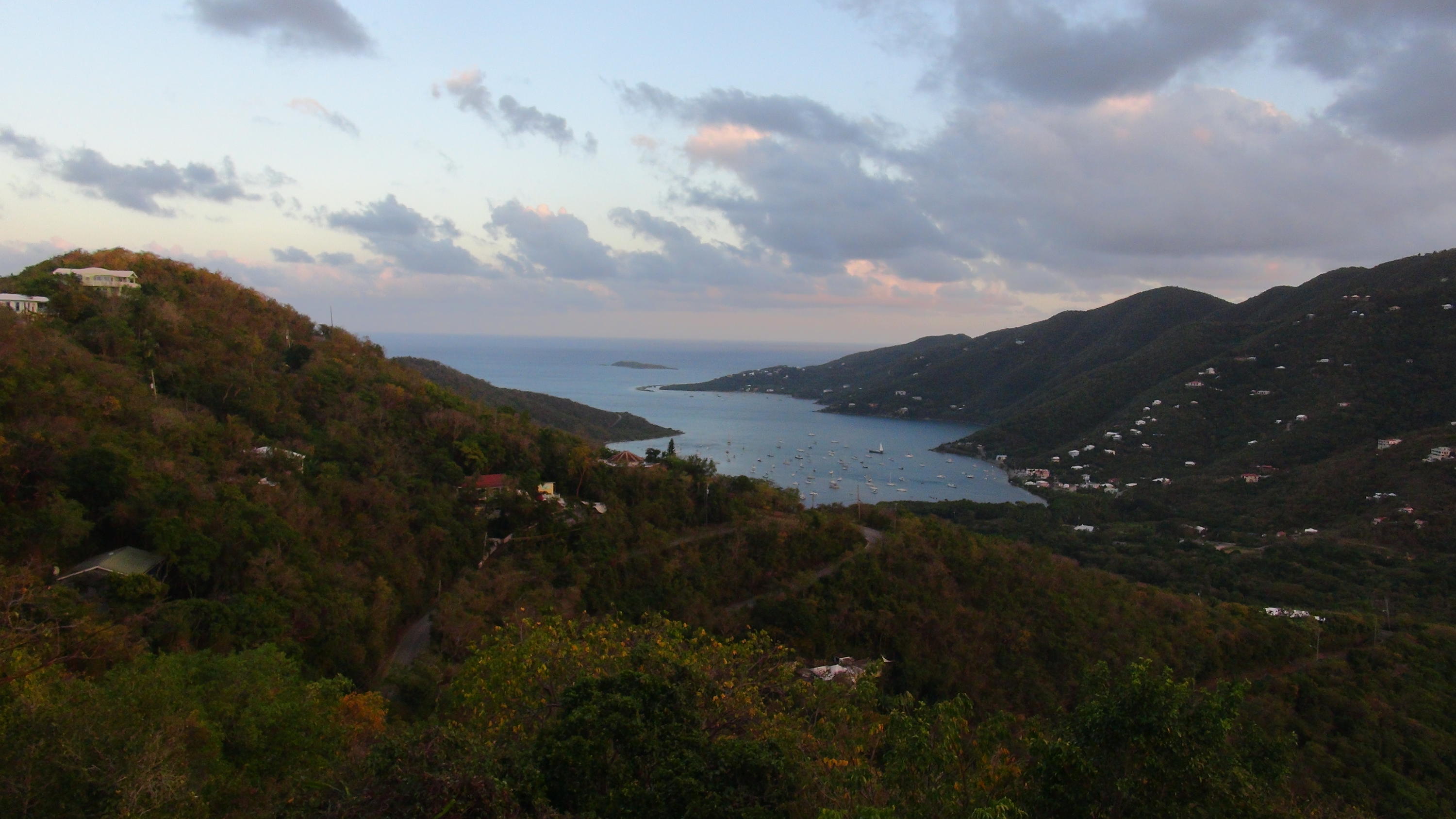 Image 37