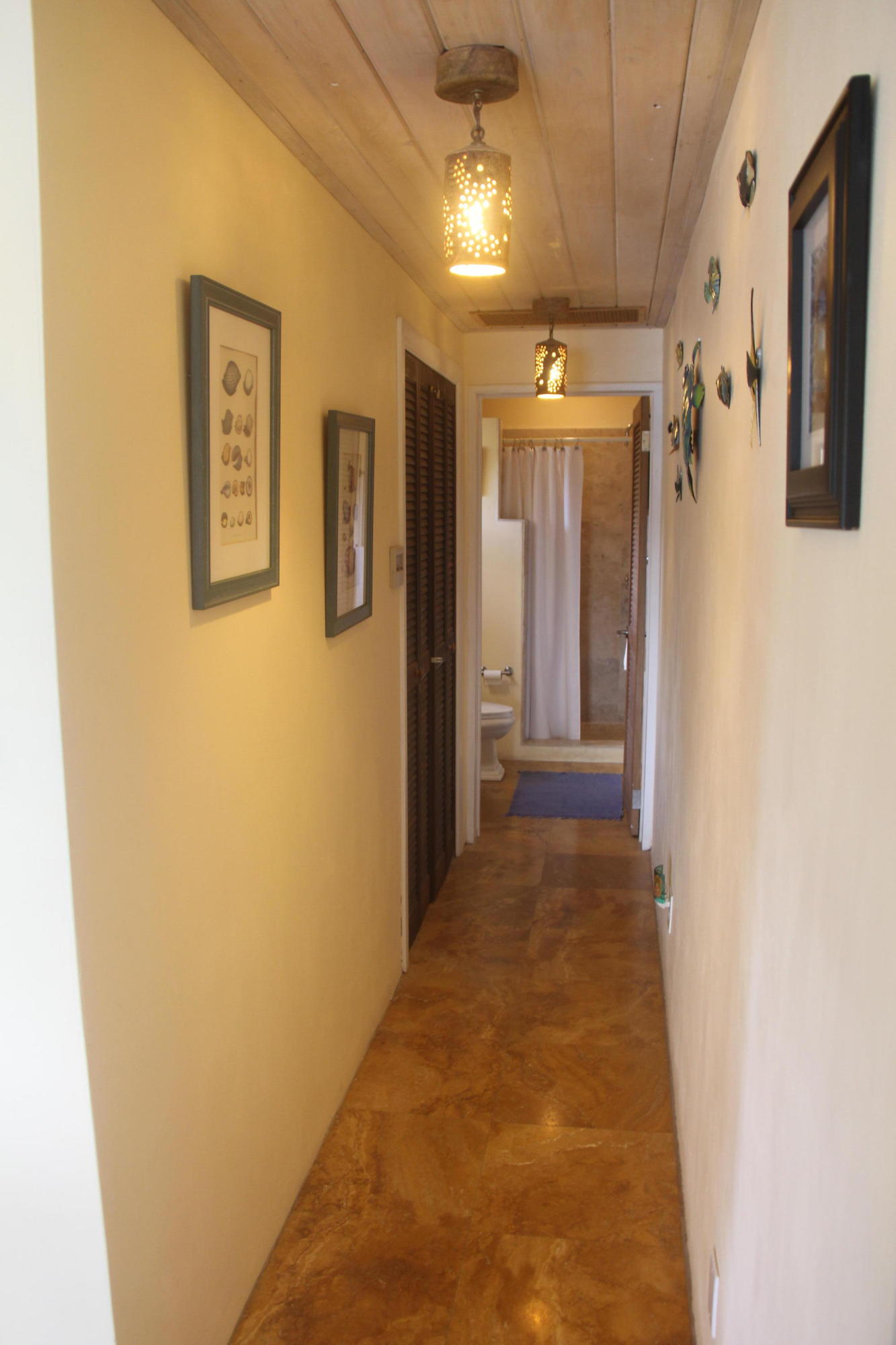 Image 29