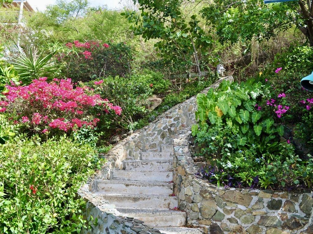 Image 16