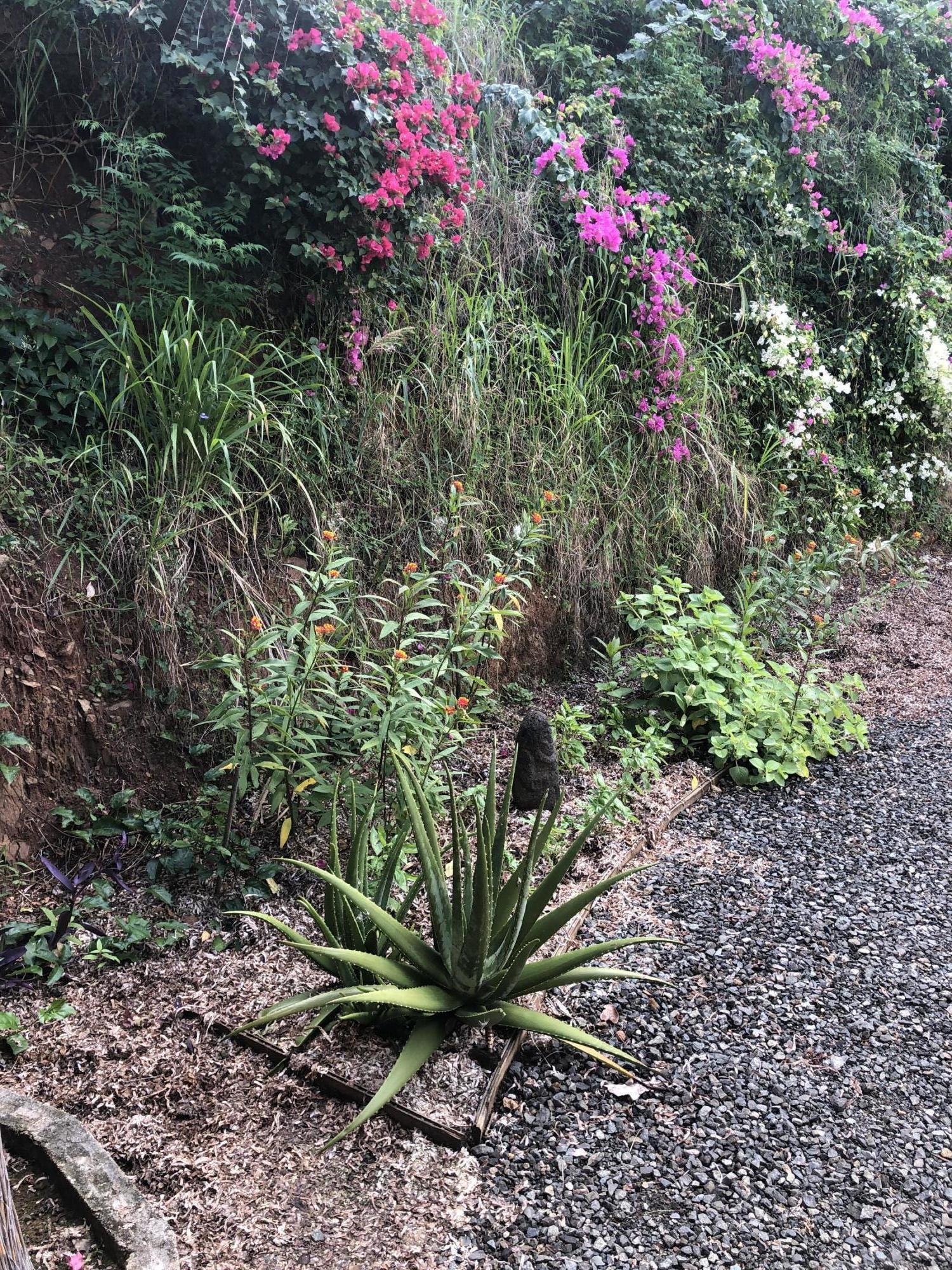 Image 15