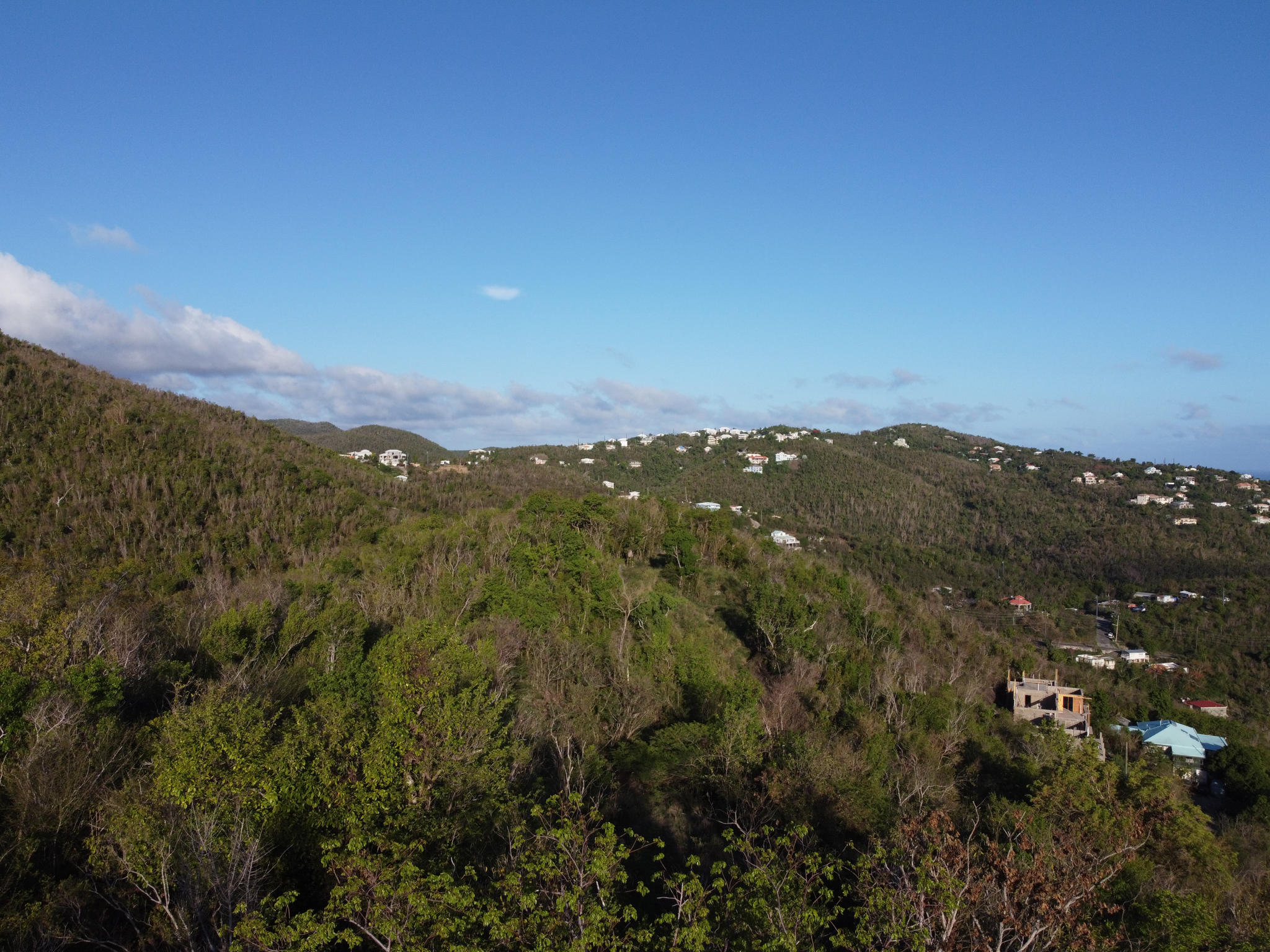 Image 13