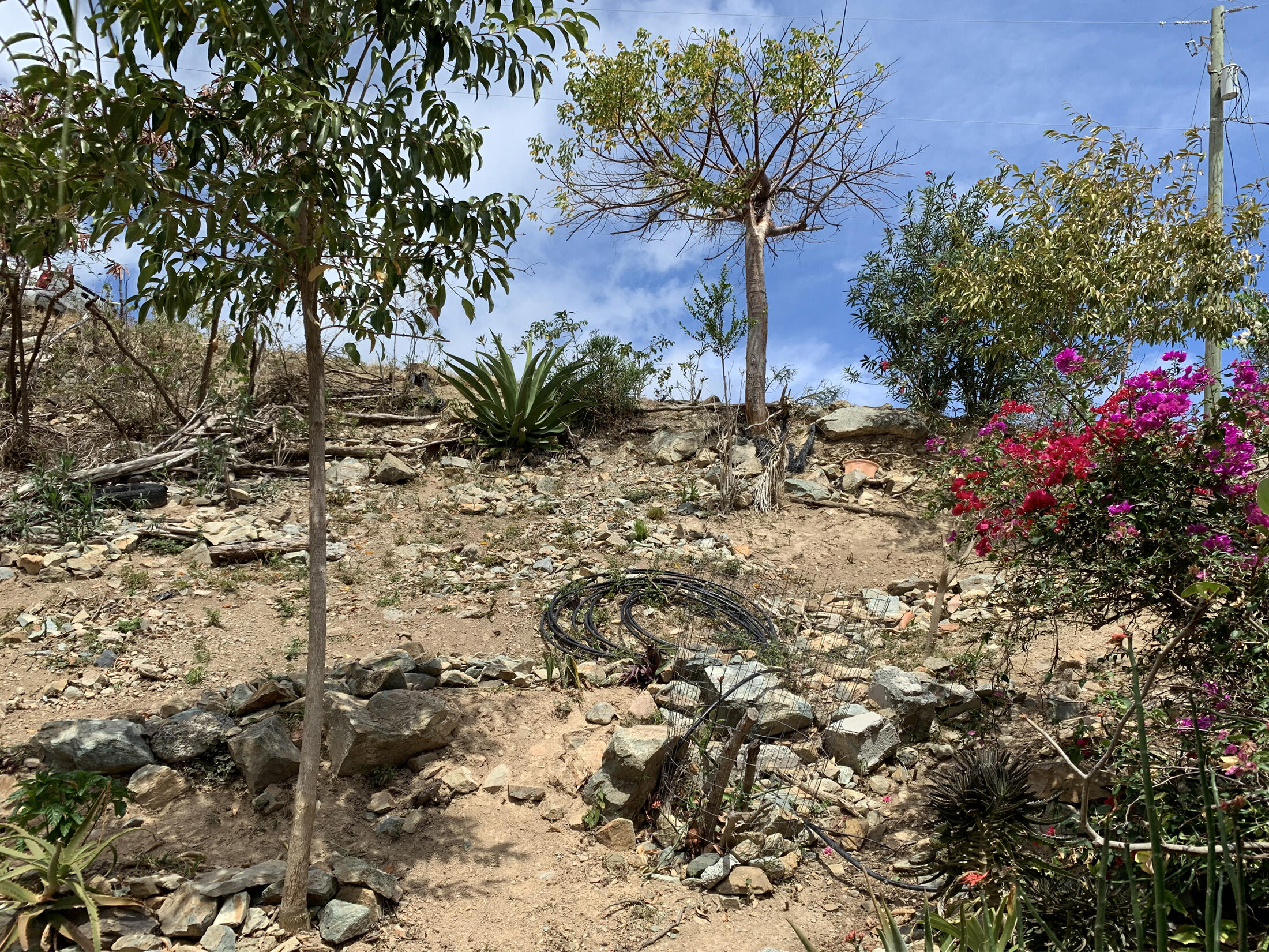 Image 33