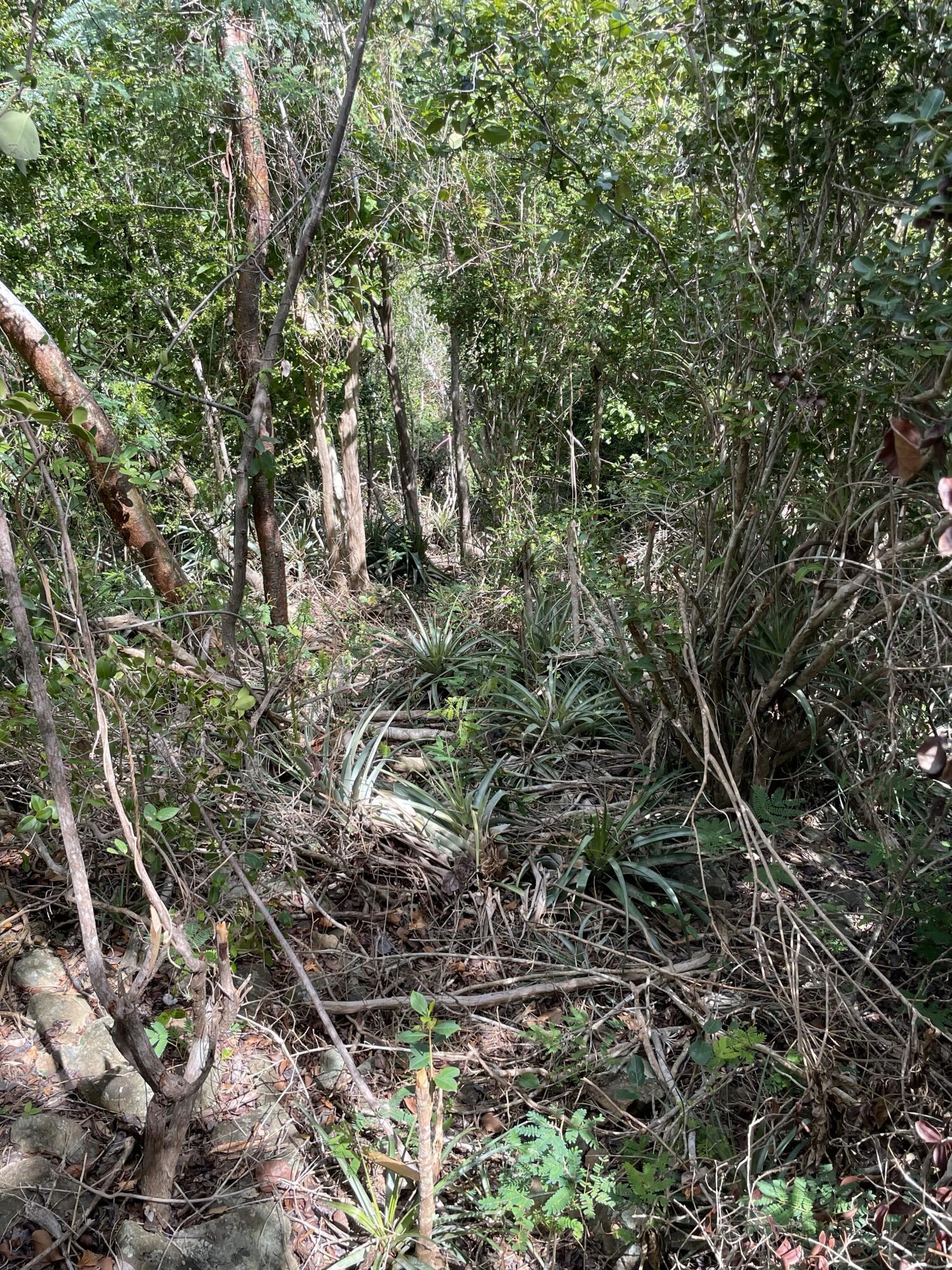 Image 6