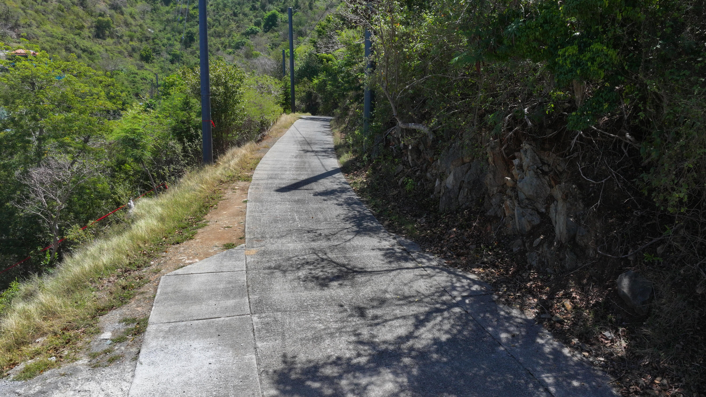 Image 15