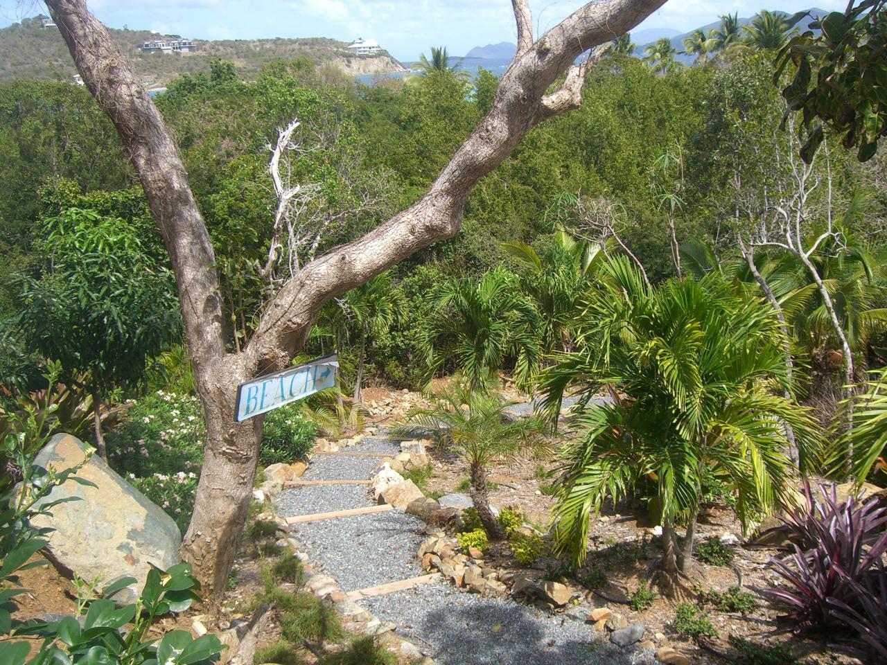 Image 38