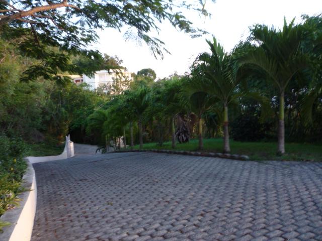 Image 13