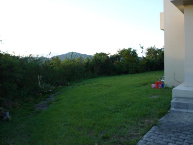 Image 14