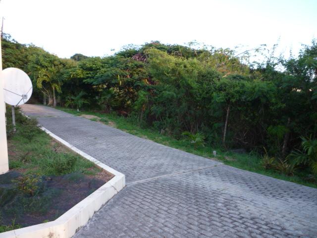 Image 15