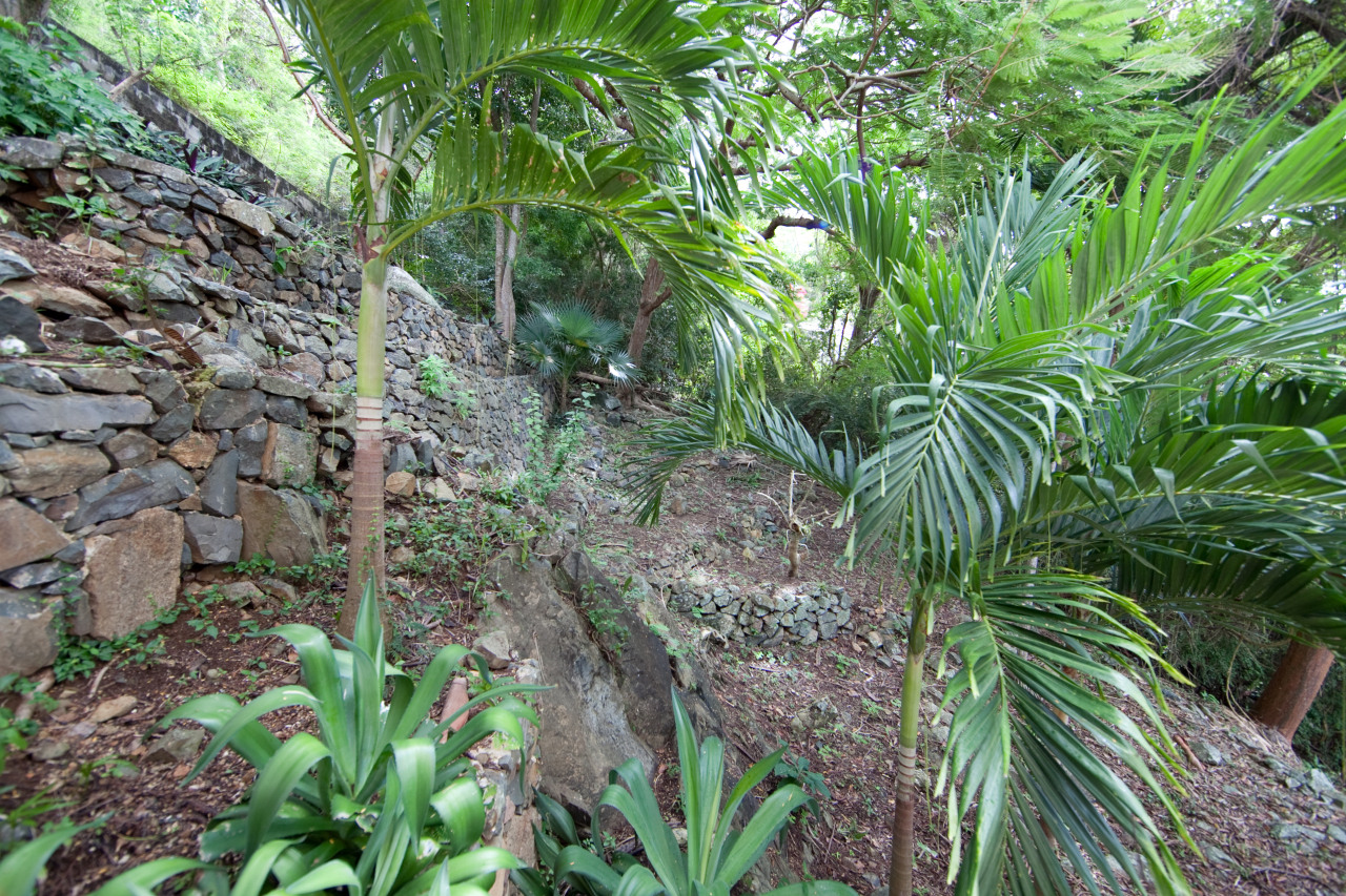 Image 26