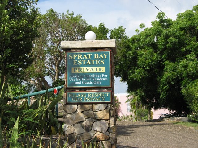 Image 14