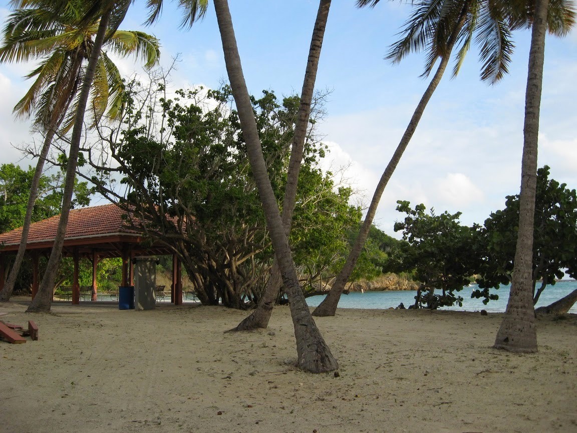 Image 21