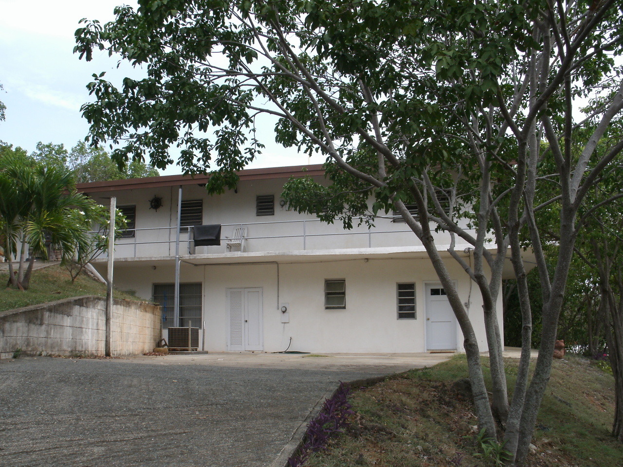 Image 20