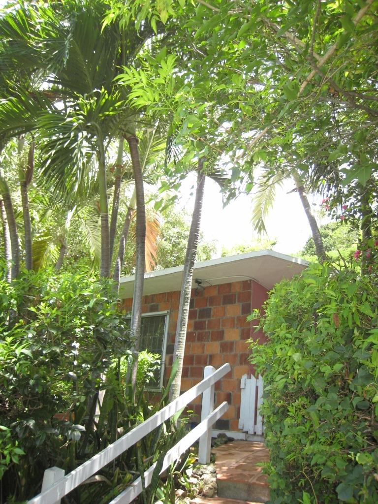 Image 11