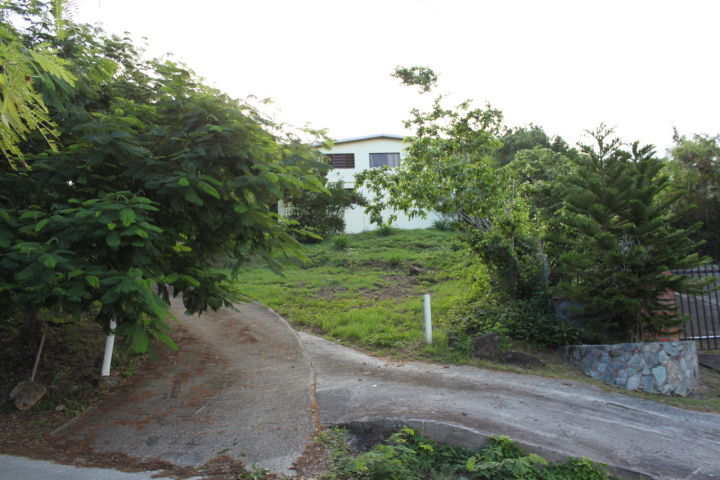 Image 8