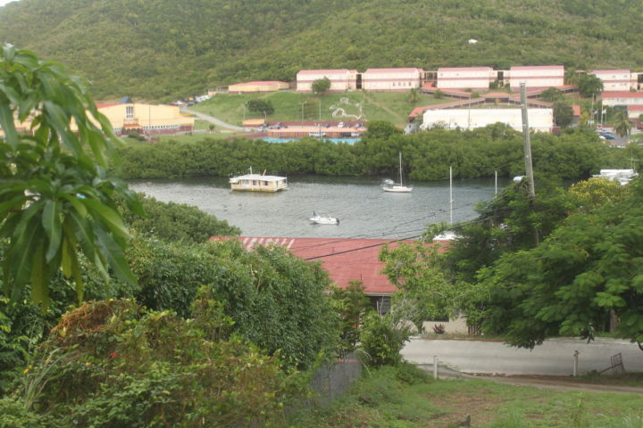 Image 11