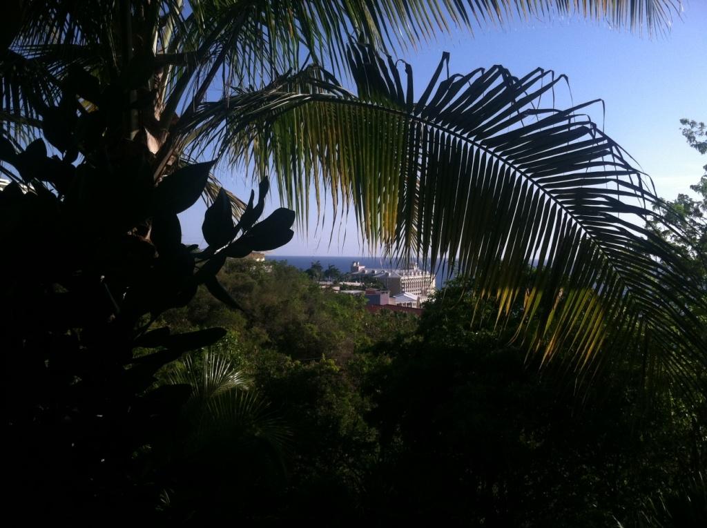 Image 15