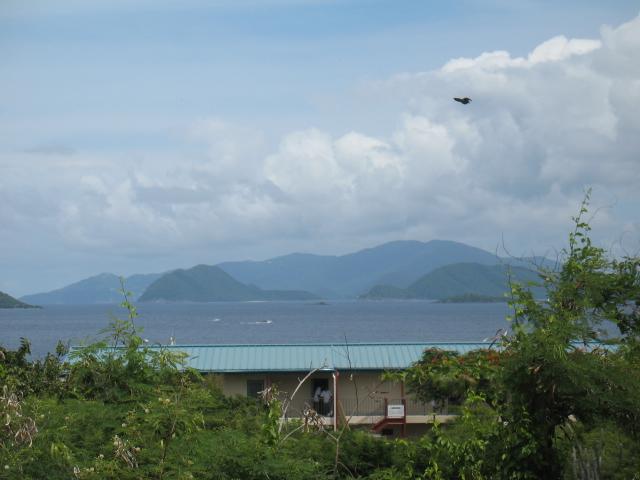 Image 10