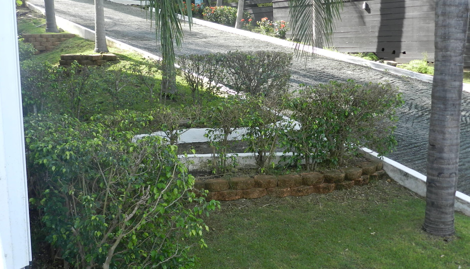 Image 16
