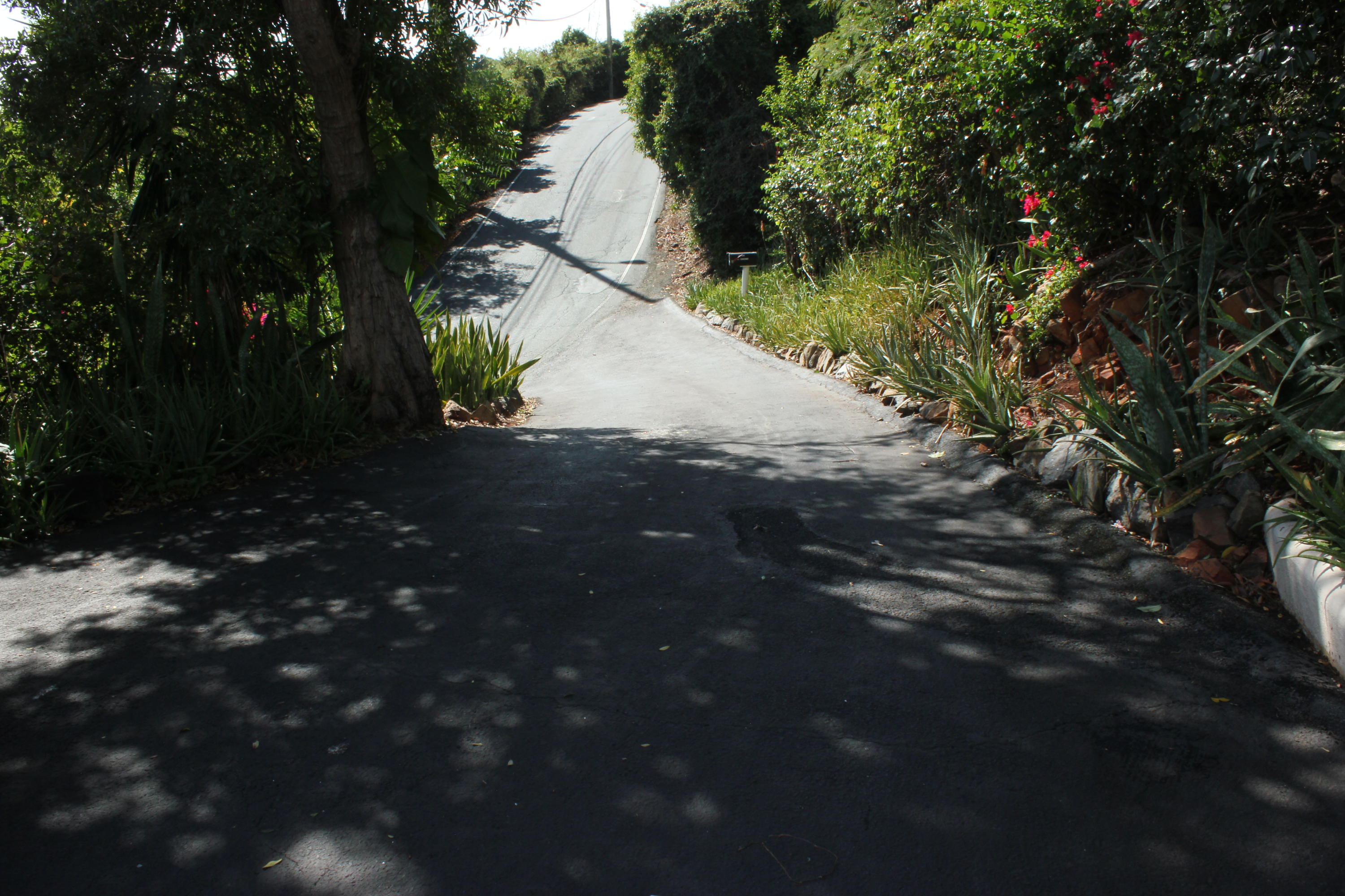Image 76