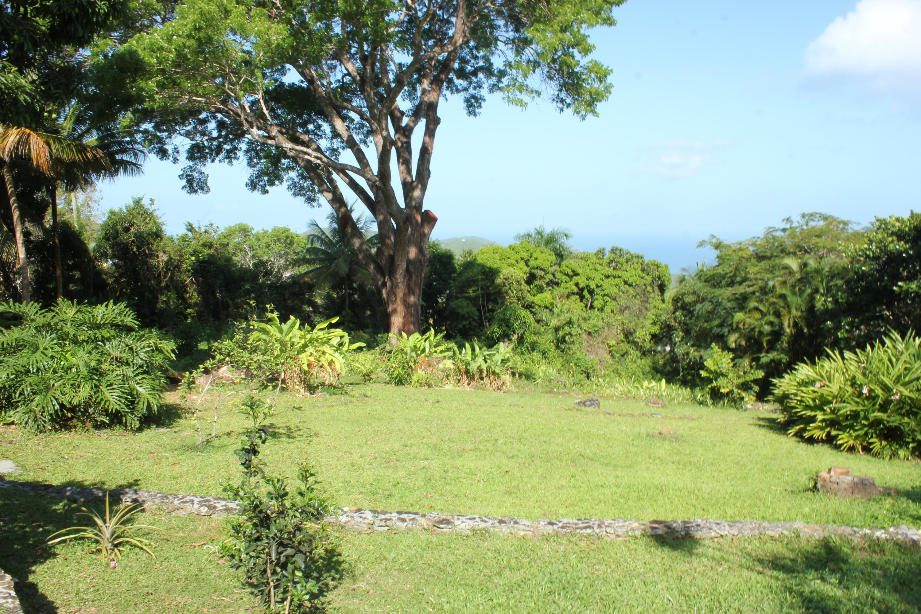 Image 68