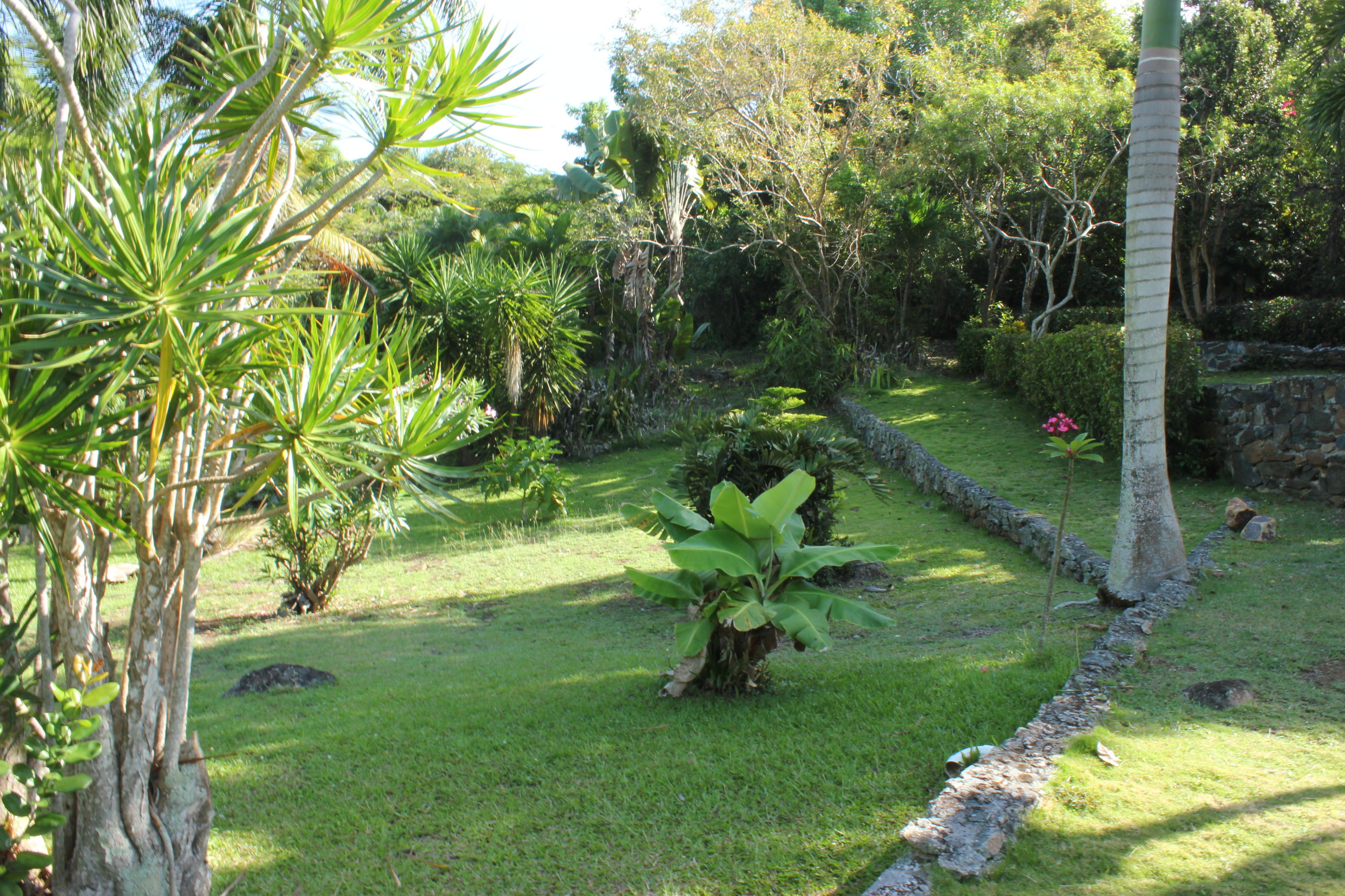 Image 69