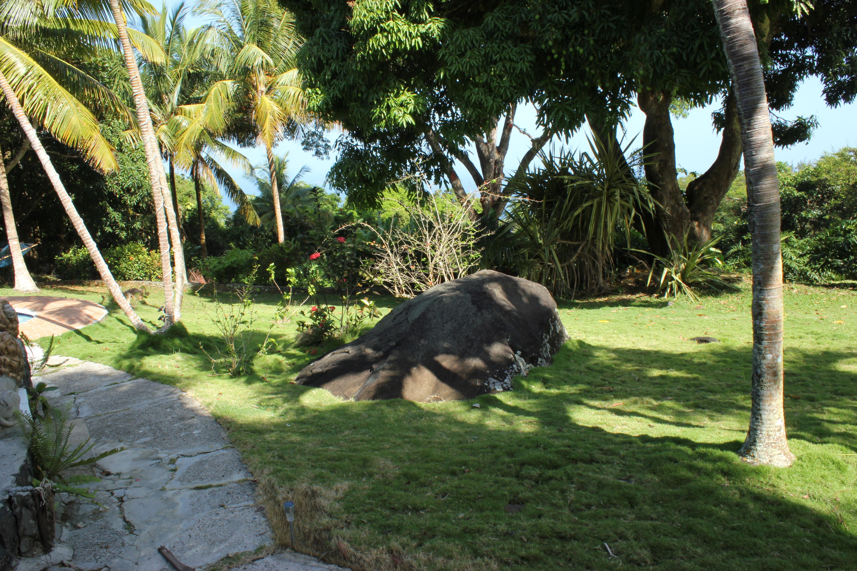 Image 81