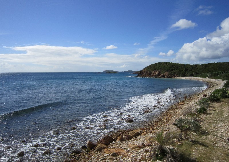 Image 10
