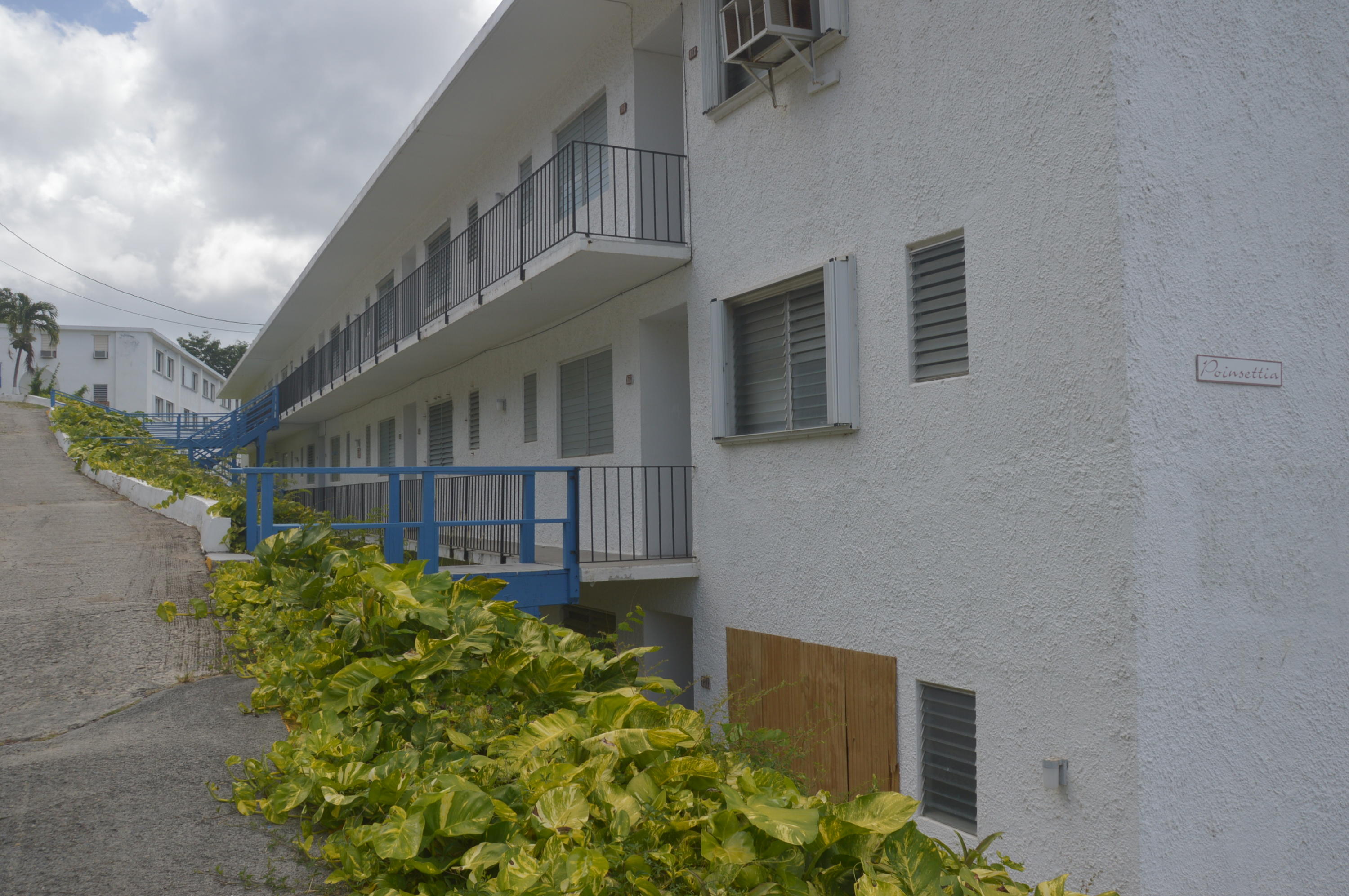 Image 12