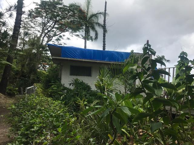 Image 13