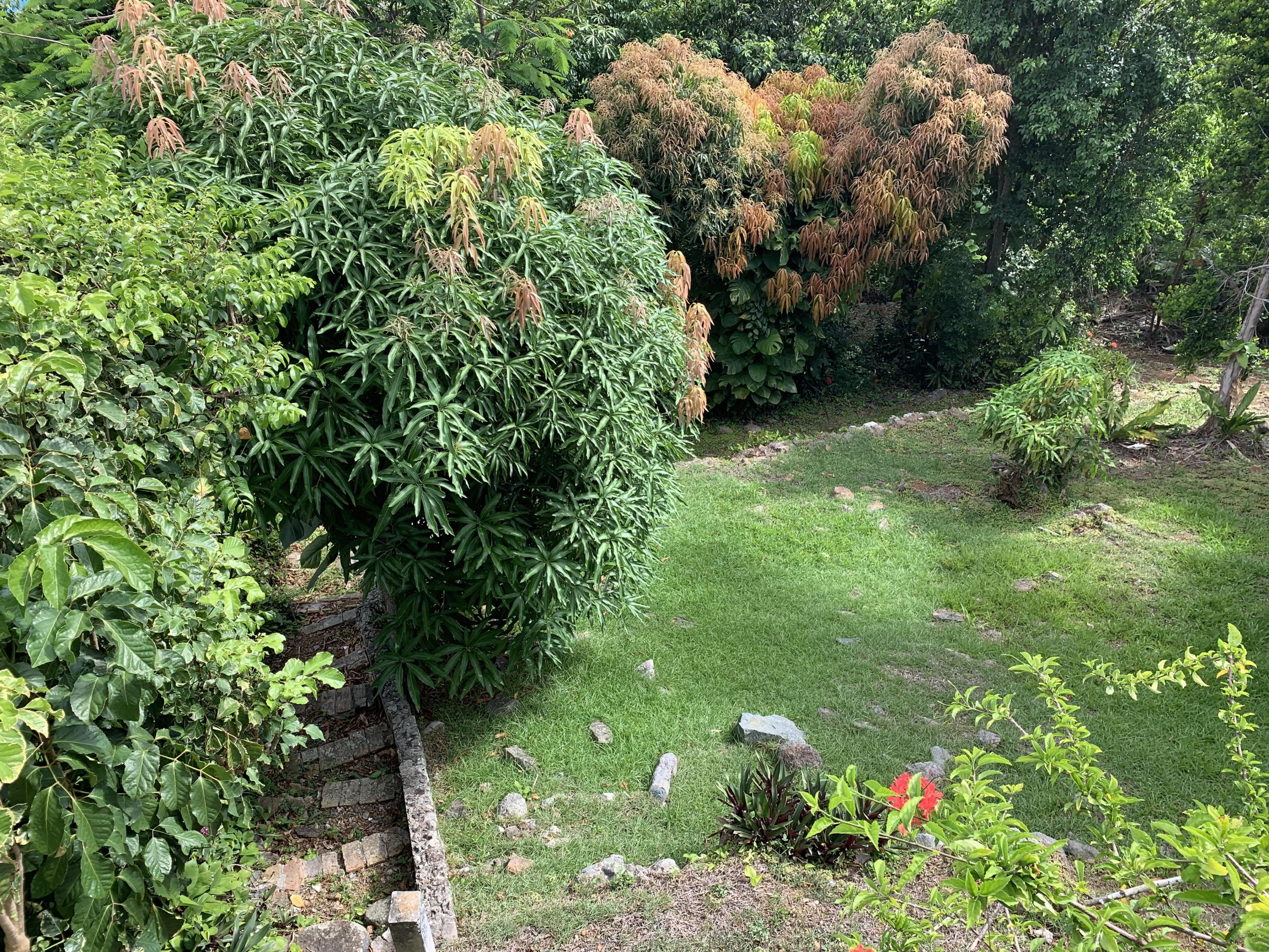 Image 22