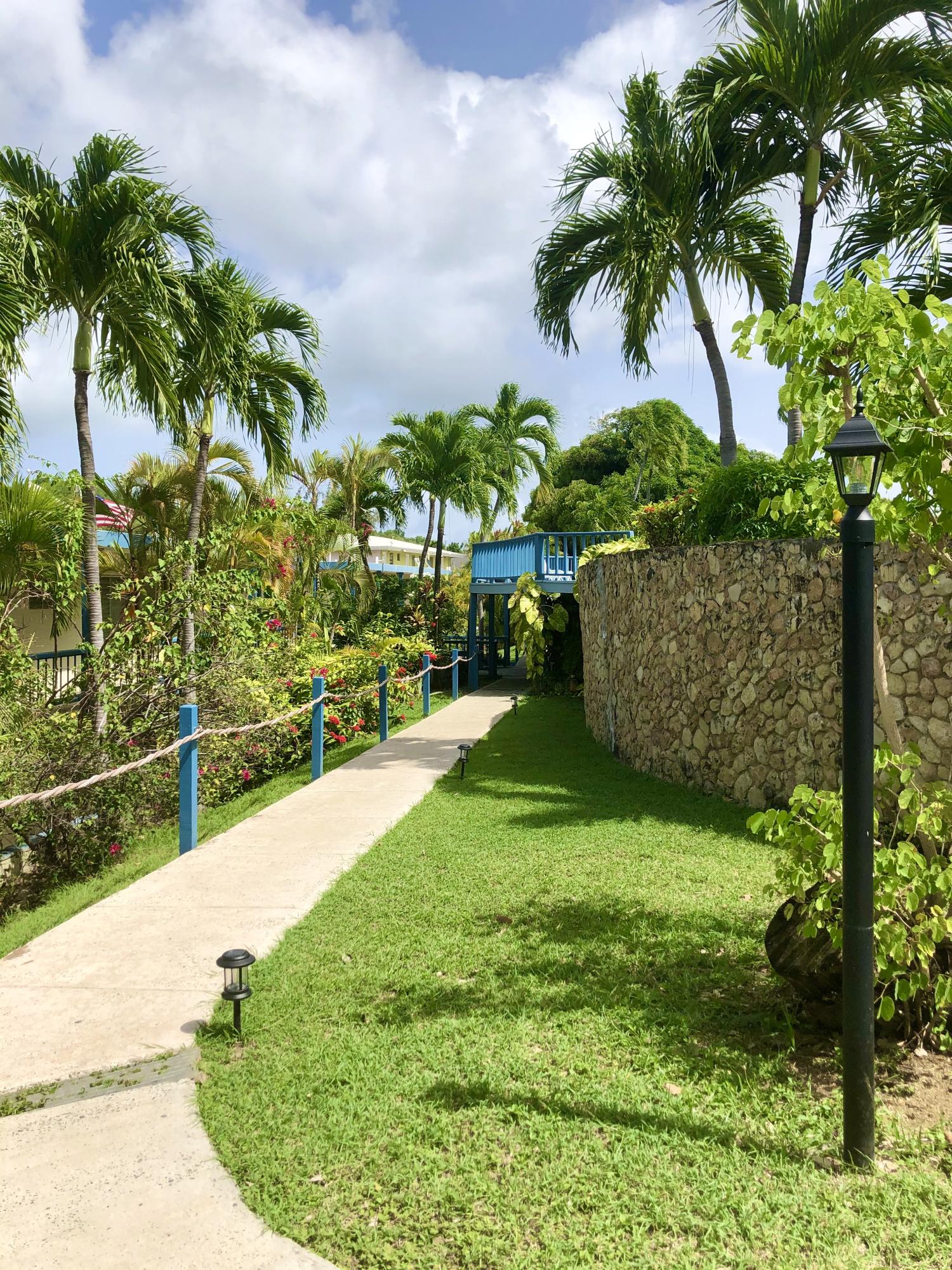 Image 15