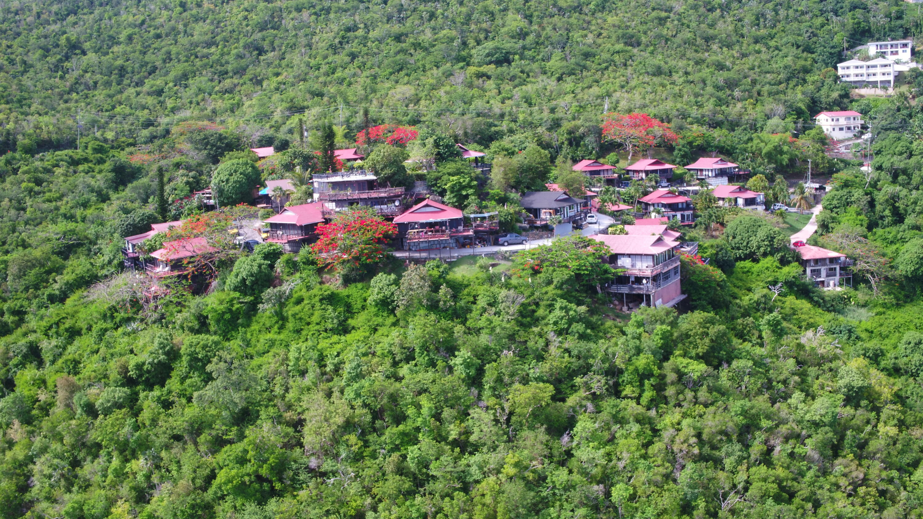 Image 107