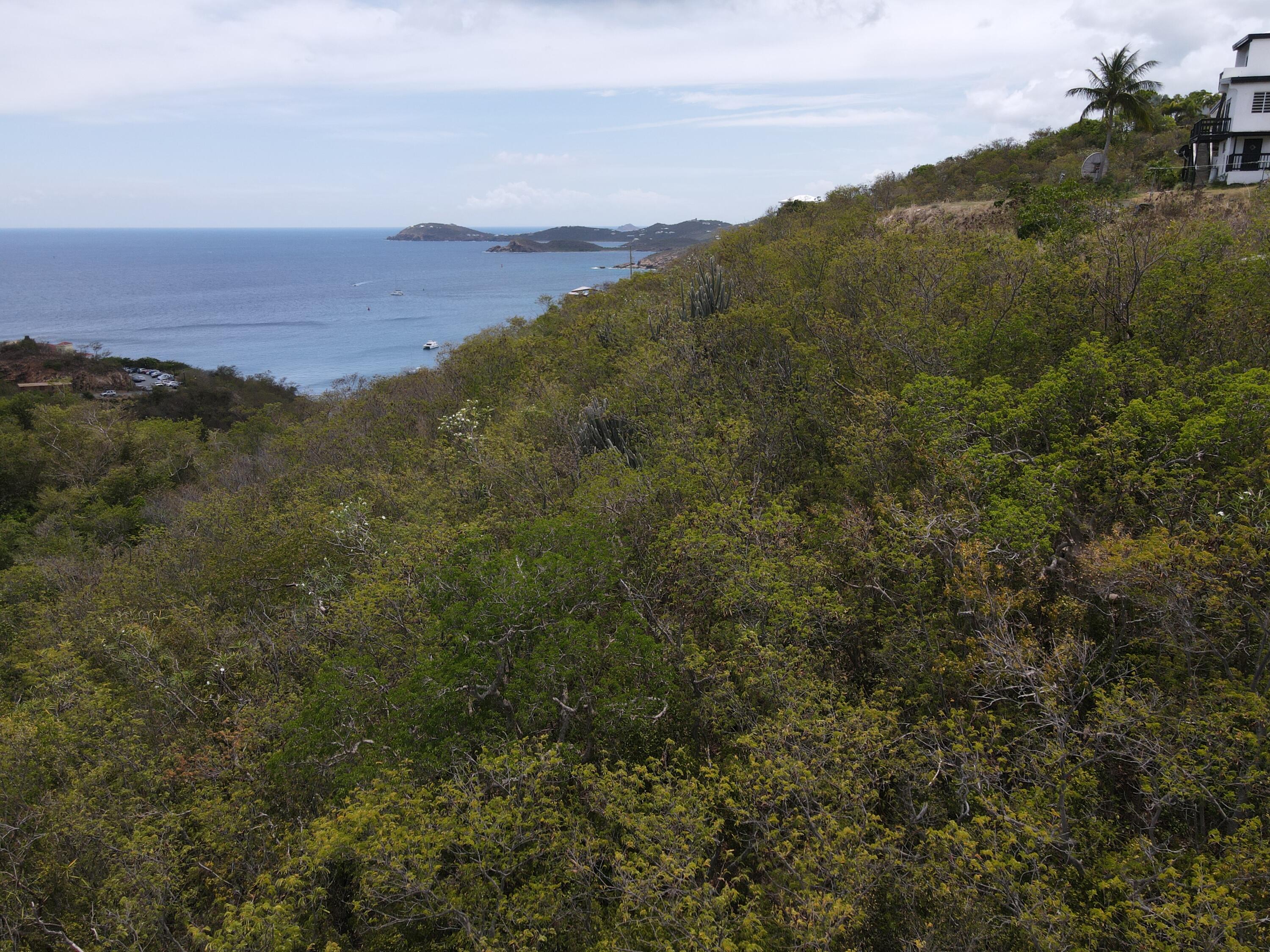 Image 9