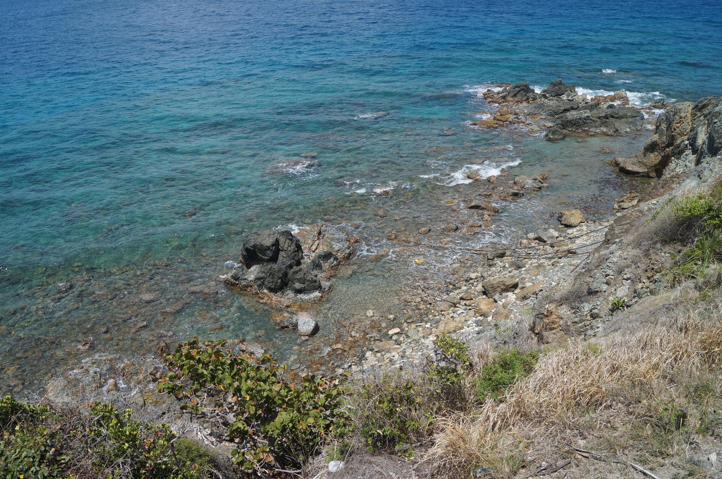 Image 29