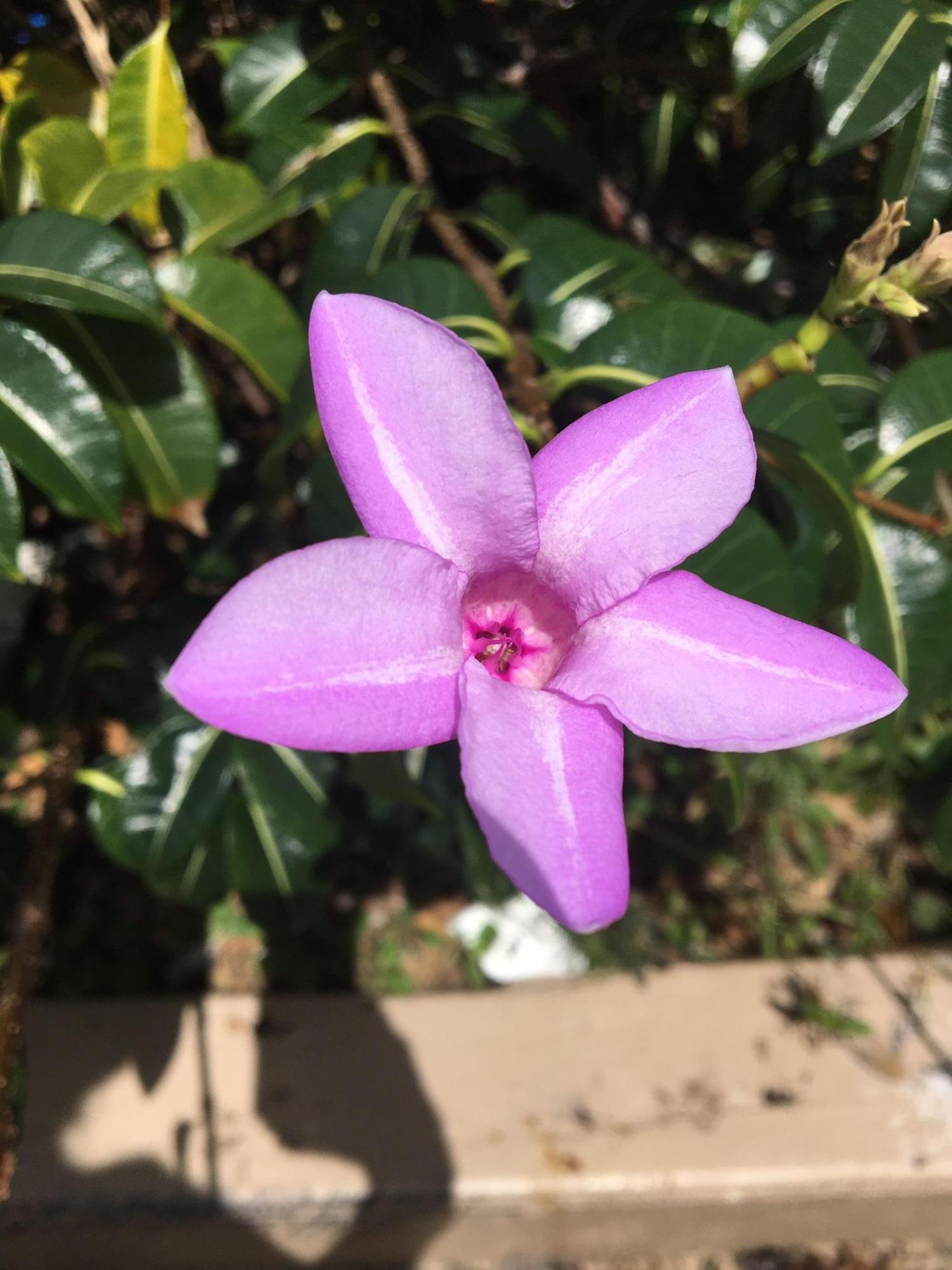 Image 31
