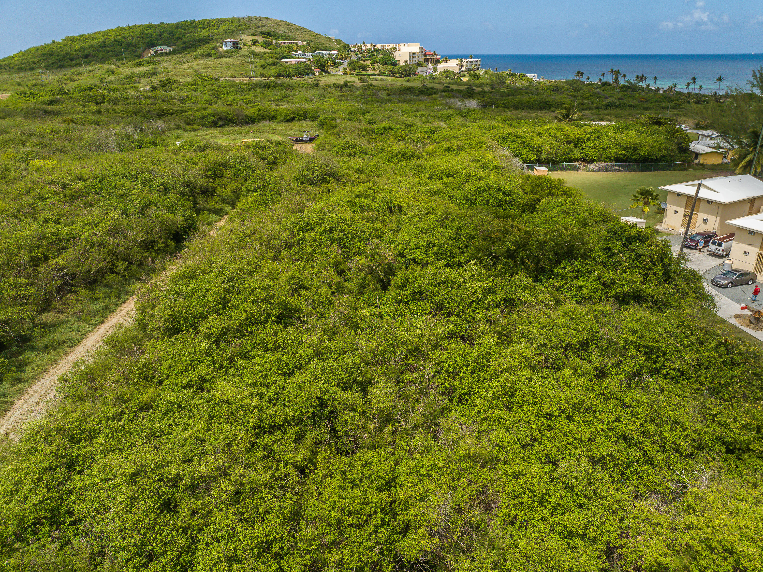 Image 15