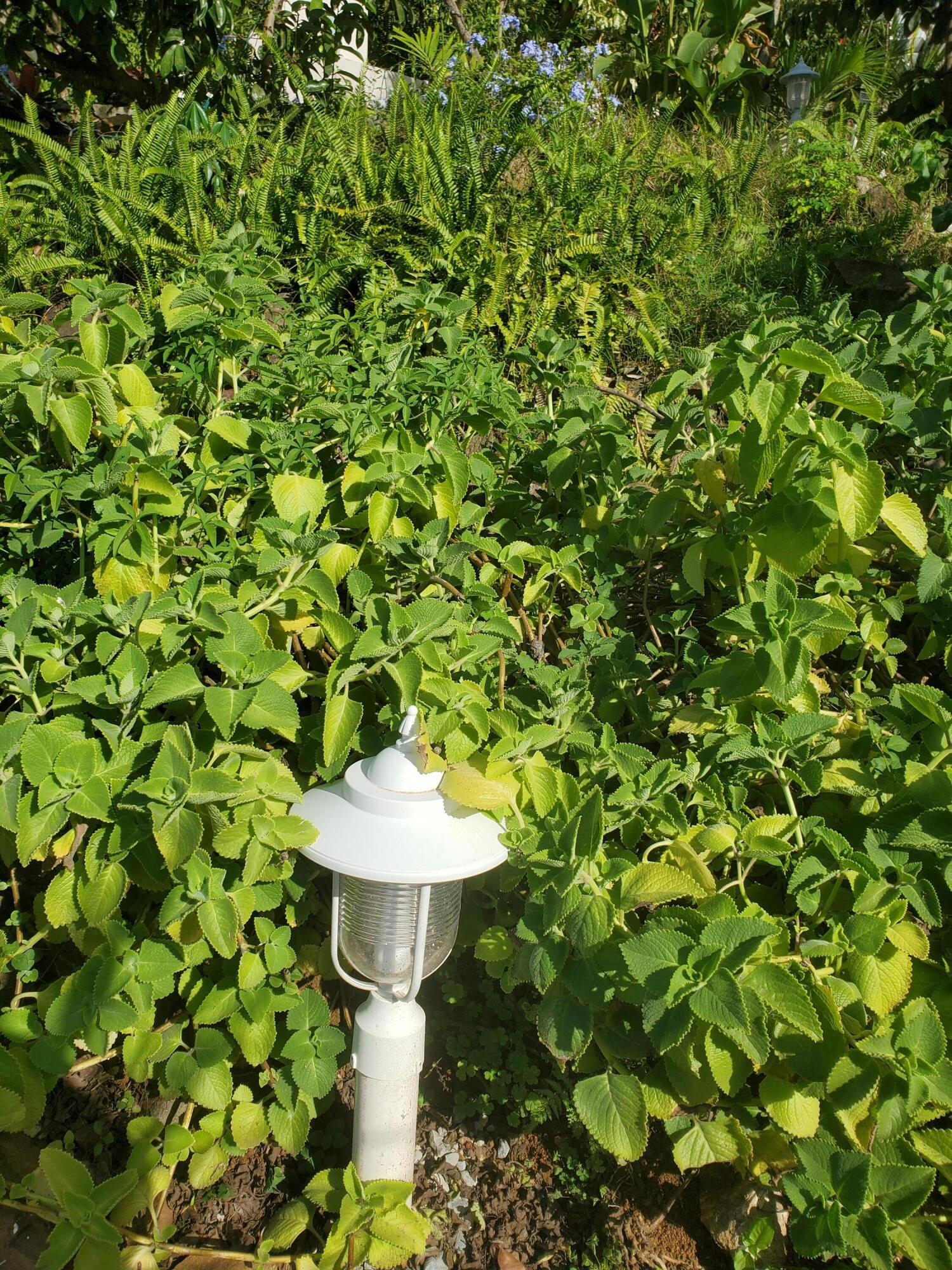 Image 23