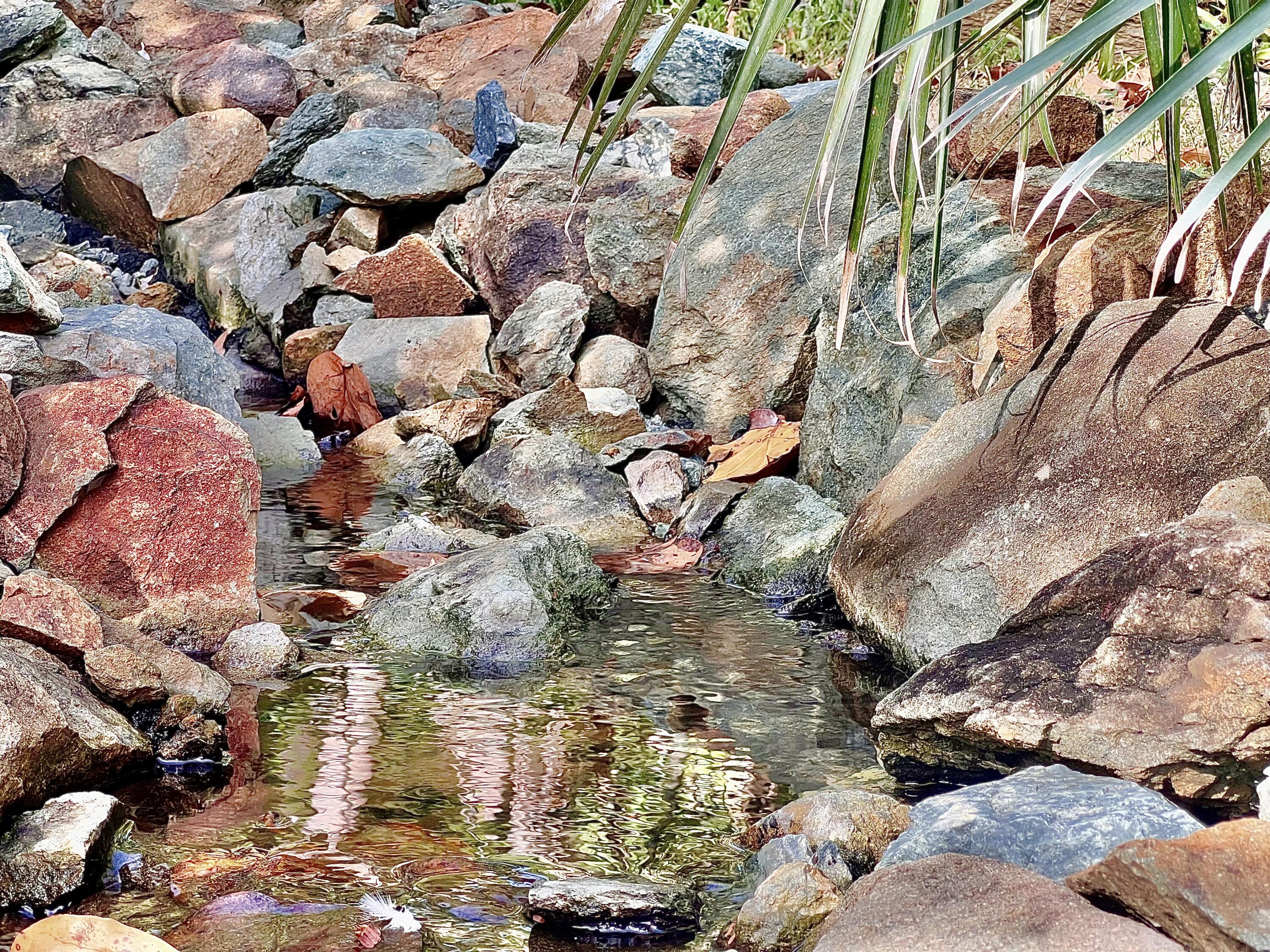 Image 29