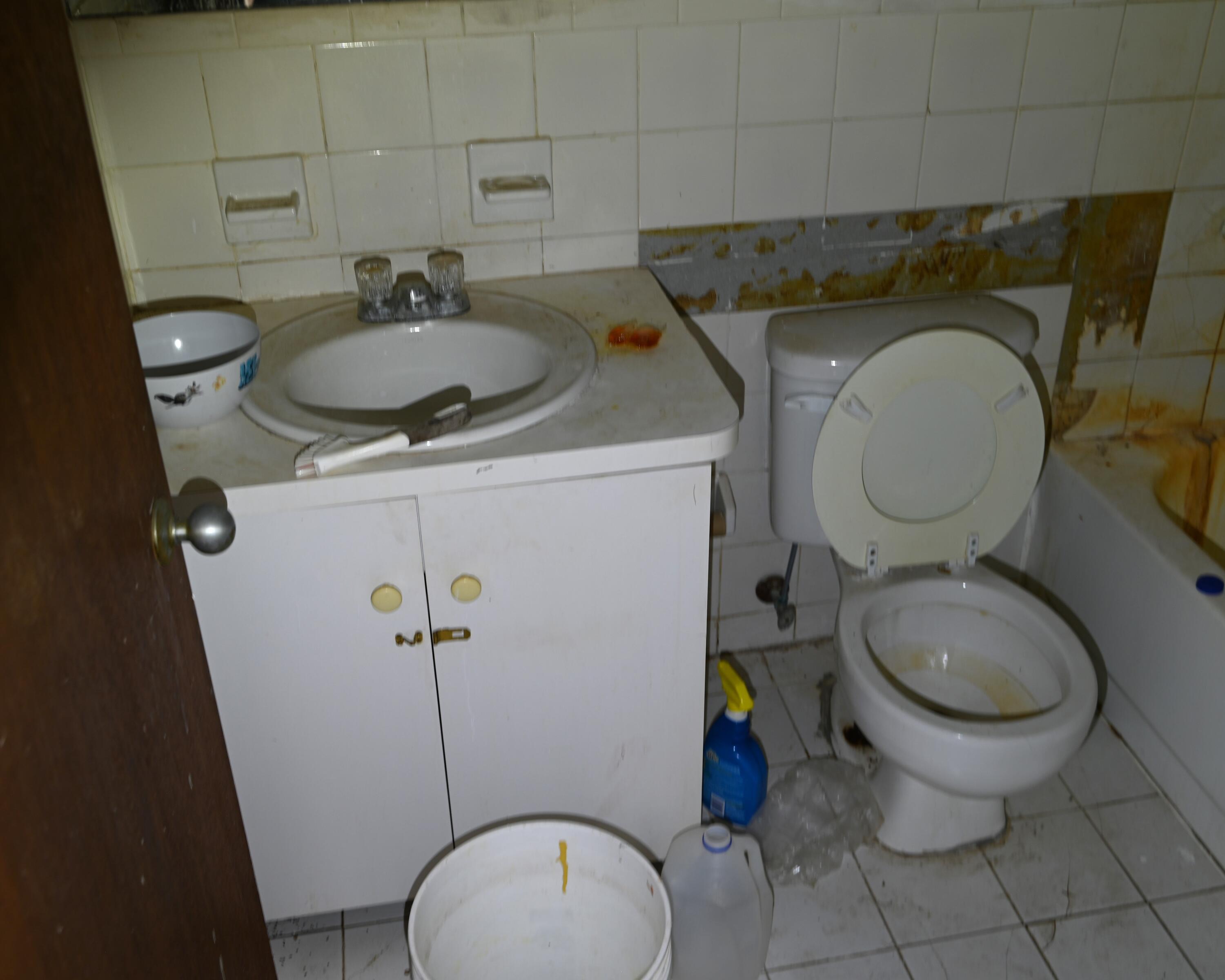 Image 10
