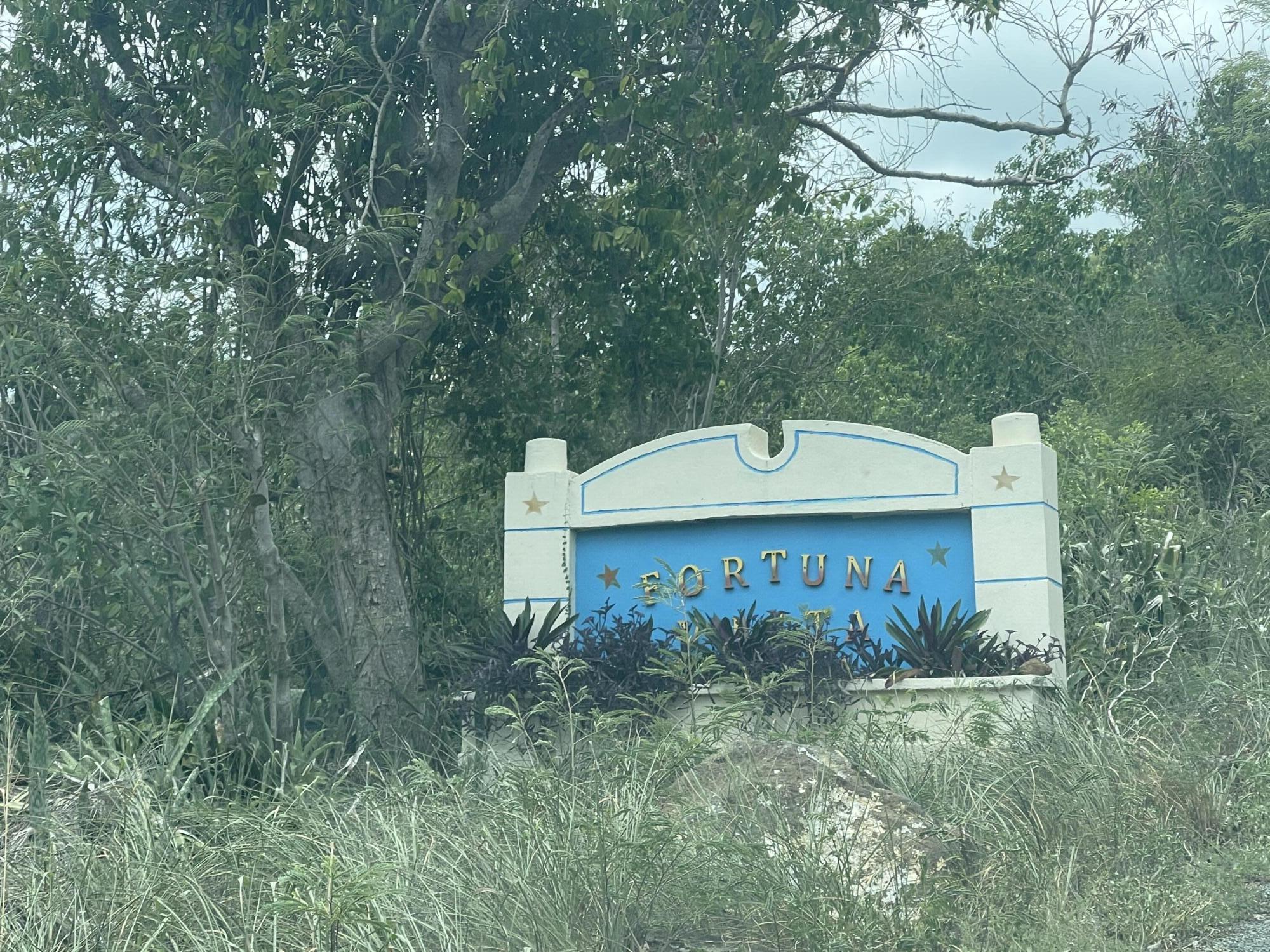 Image 30