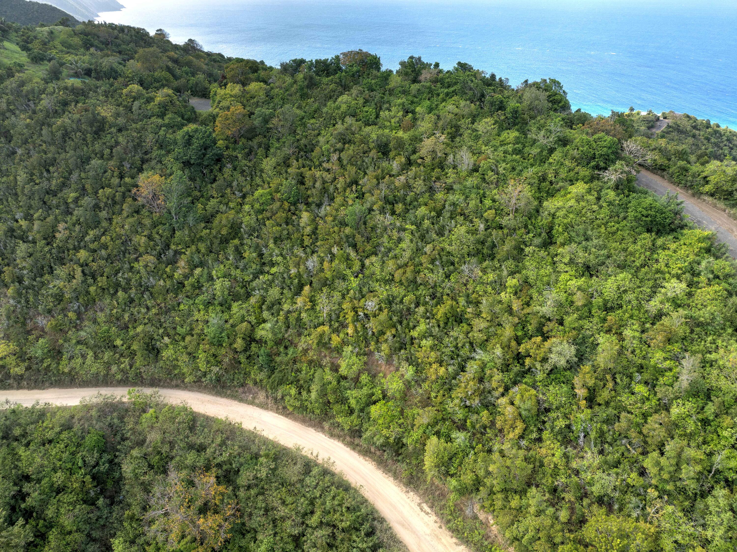 Image 15