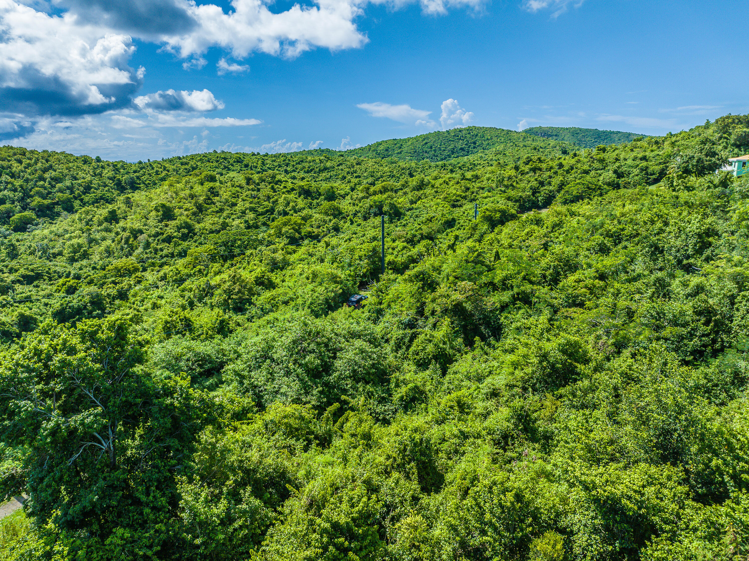 Image 16
