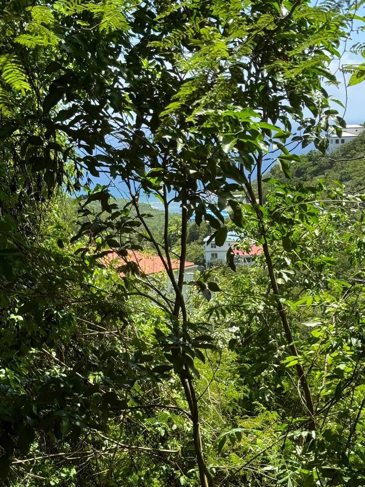 Image 14