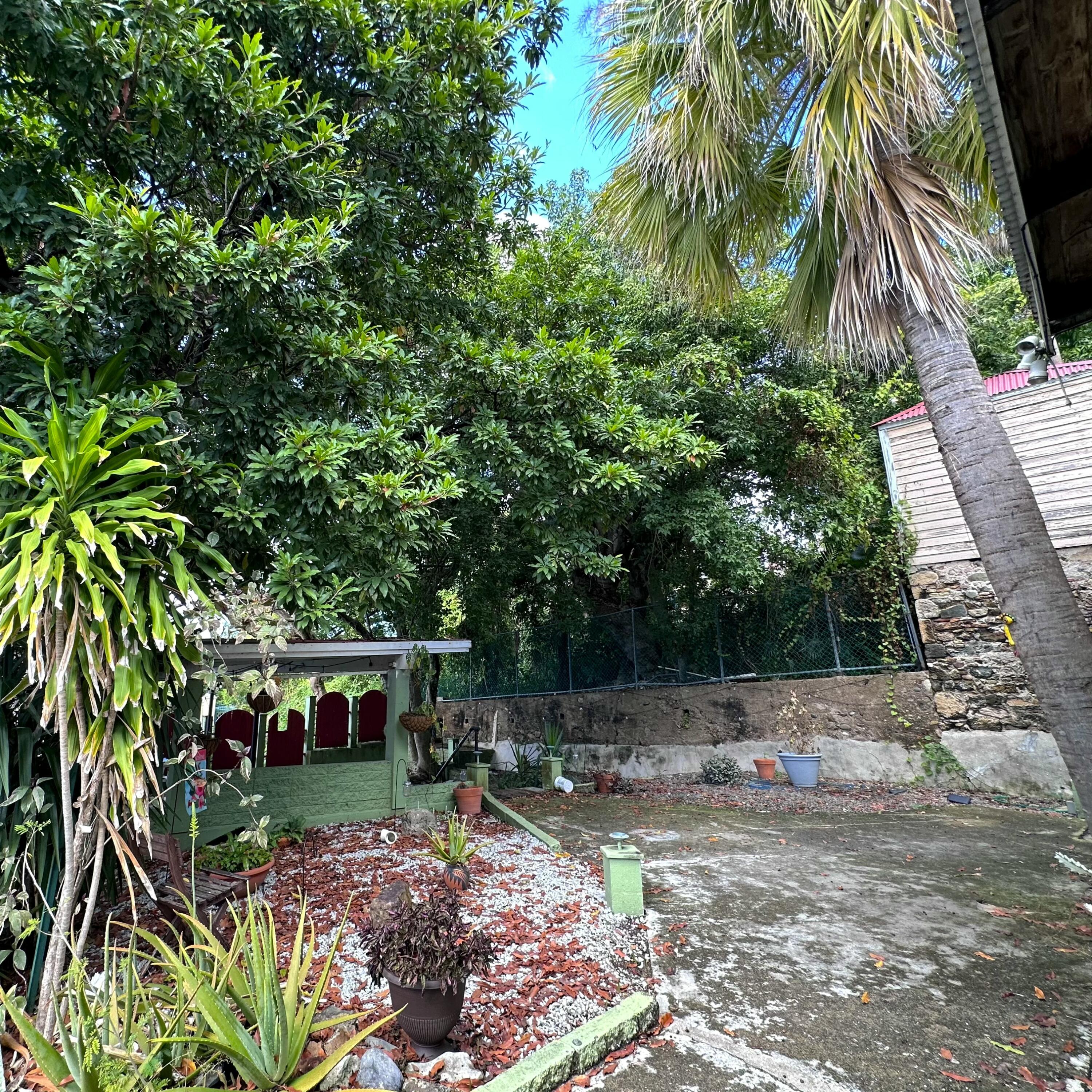 Image 19