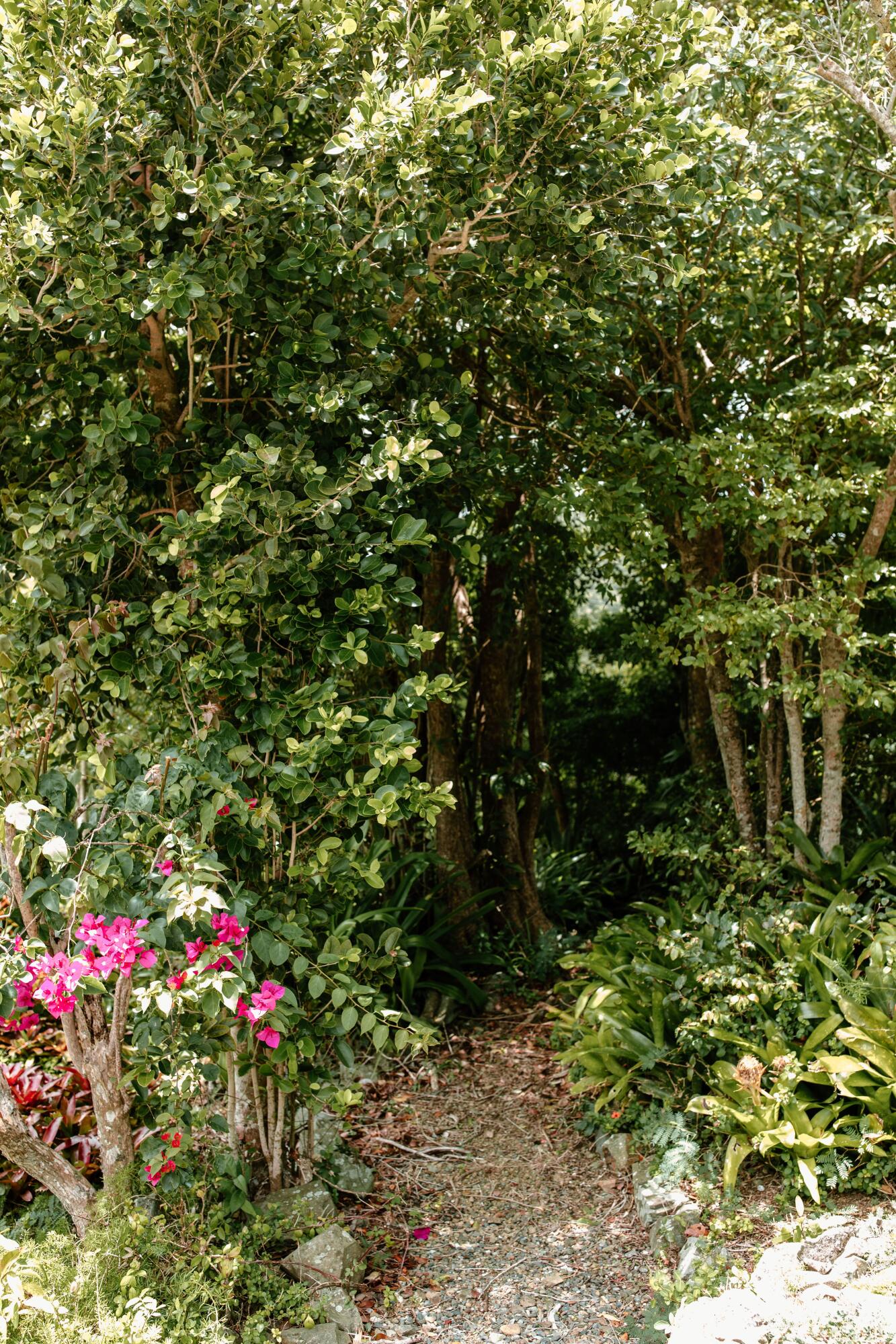 Image 56